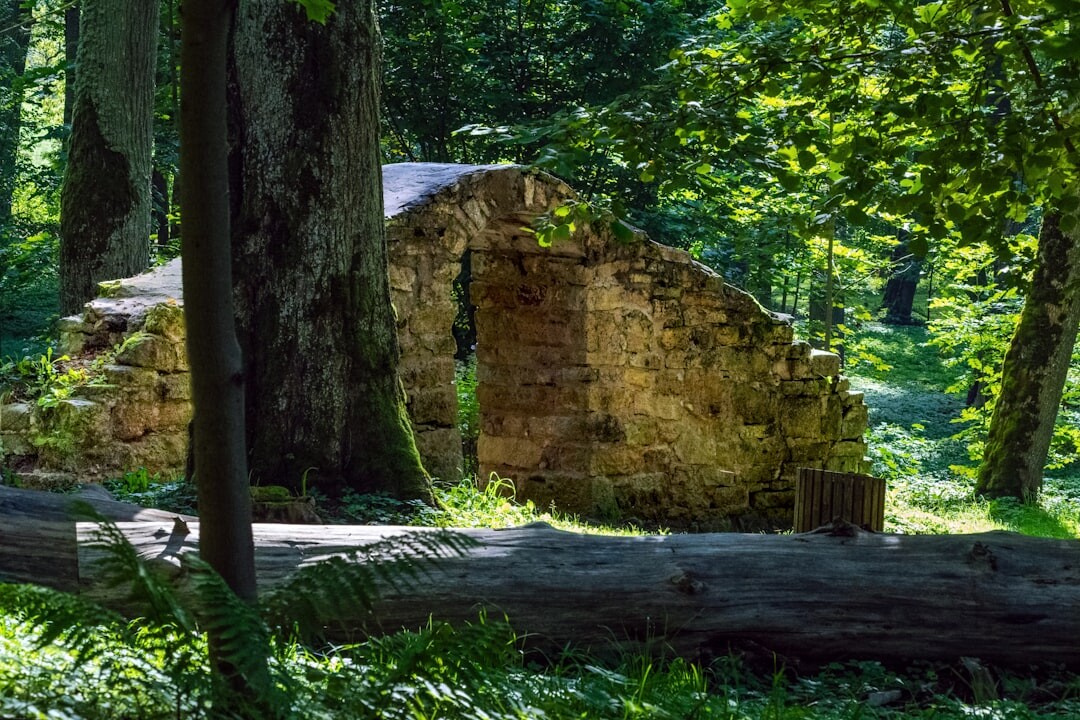 historical mystery exploration