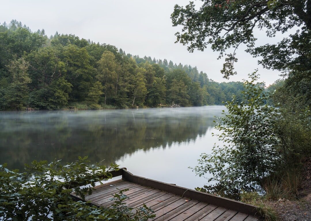 Foggy lake surrounded by dark forest in northern Croatia